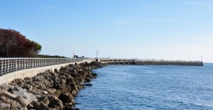 Tide Chart Sebastian Inlet Bridge