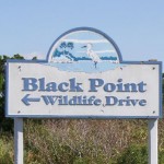 Merritt Island NWR Black Point Wildlife Drive